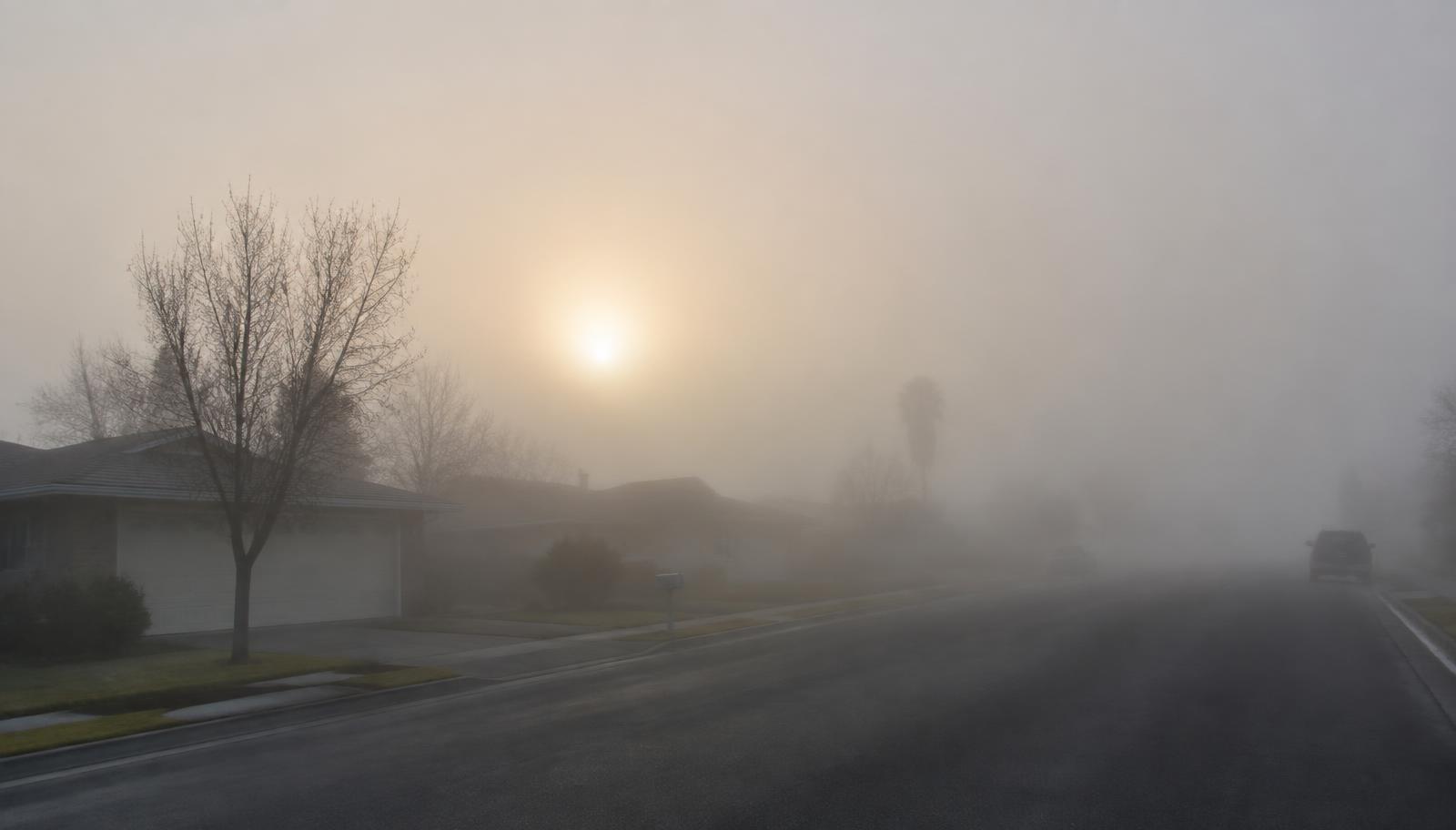 Dense tule fog settling over an Atwater, CA neighborhood on a winter morning